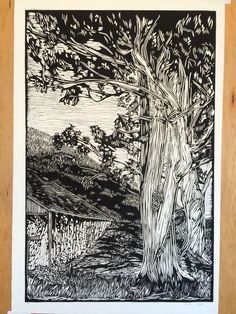 a black and white drawing of a tree