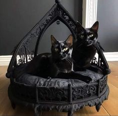 two black cats sitting in an ornate cat bed