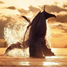 a dolphin jumping out of the water at sunset