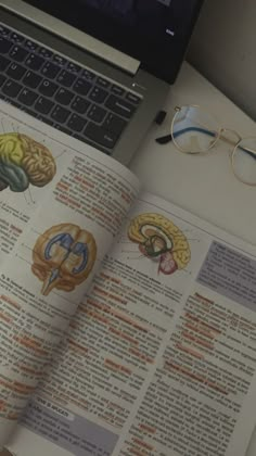 an open book with pictures of the human brain on it