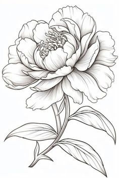 a black and white drawing of a flower