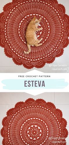 an orange cat sitting on top of a red doily with the words esteva below it