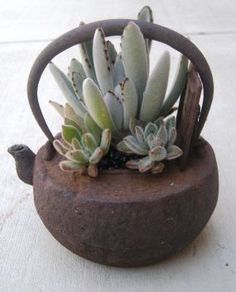 a small potted plant sitting on top of a table