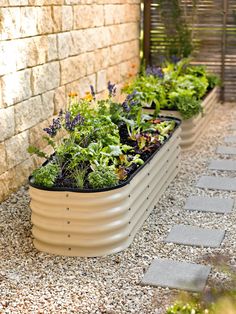 an assortment of plants are growing in a planter