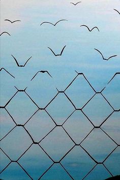 birds flying in the sky behind a chain link fence