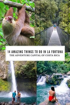 four pictures with people standing on the bridge and two slots hanging from the trees