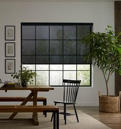 a table and two chairs in front of a window with a potted plant next to it