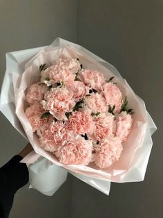 a bouquet of pink carnations is held by someone's hand in front of a gray wall