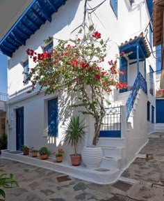 a white house with blue shutters and red flowers