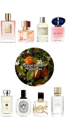 #fruityperfume #gourmandfragrance #perfumetiktok #perfume #perfumetok ... | TikTok How To Smell Floral, Luxury Perfumes, Beauty Makeover, Perfume Making