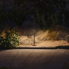 a lamp is lit up in the dark by some plants and grass at night time