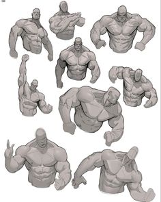 the various poses and body parts of a man