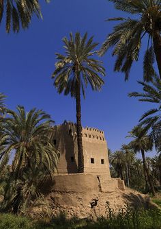 an old building with palm trees in the foreground and a blue sky behind it