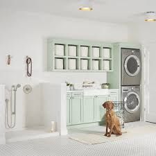 a dog sitting on the floor in front of a washer and dryer,