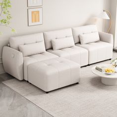 a living room with a white couch, coffee table and potted plant in the corner