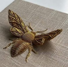 a gold colored insect sitting on top of a piece of cloth