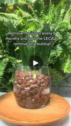 a glass vase filled with lots of plants on top of a wooden table next to a plant