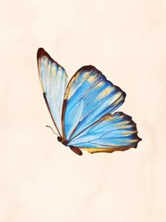 a blue butterfly flying through the air