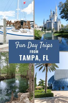 the top things to do in tampa, fl for fun day trips from disney world