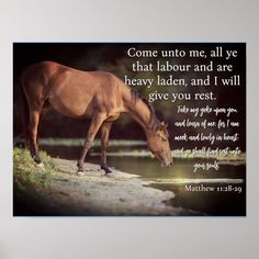 a horse drinking water from a river with a bible verse printed on the wall behind it