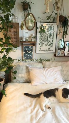 a black and white cat laying on top of a bed next to a potted plant