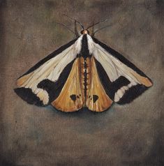 a painting of a moth sitting on top of a gray surface with black and white stripes