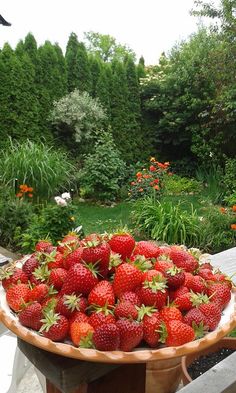 a large platter full of strawberries on a wooden table in the middle of a garden