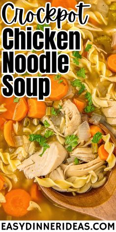 chicken noodle soup with carrots and parsley in a wooden spoon