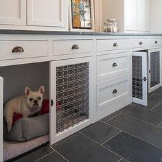 a dog is sitting in his kennel under the sink and looking at the camera