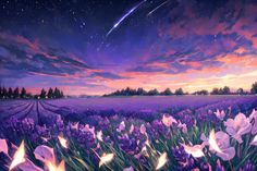 a field full of purple flowers under a night sky with stars and shooting comets