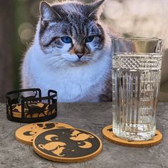 a cat sitting next to a glass on top of a stone table with two coasters