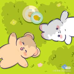 two cartoon bears laying in the grass with an egg on their head and another bear looking at them