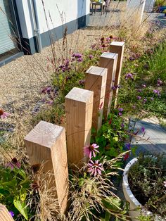 three wooden blocks sitting next to each other in a garden filled with flowers and plants