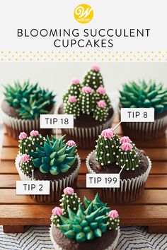 cupcakes with different types of plants in them on a wooden tray, labeled blooming succulent cupcakes