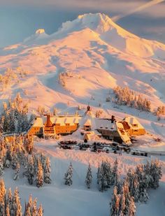 an aerial view of a ski resort surrounded by trees and snow covered mountains in the background