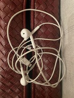 the ear buds are plugged into the leather case