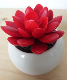 a small red flower sitting in a white vase