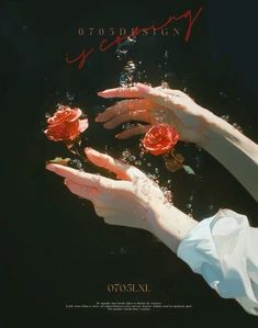 two hands reaching for flowers floating in water with caption that reads 070design