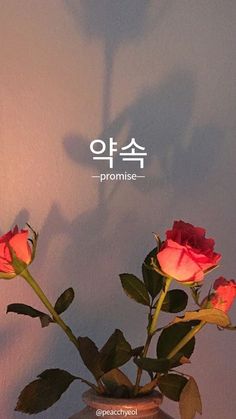 three roses in a vase with the words promise written on it's side