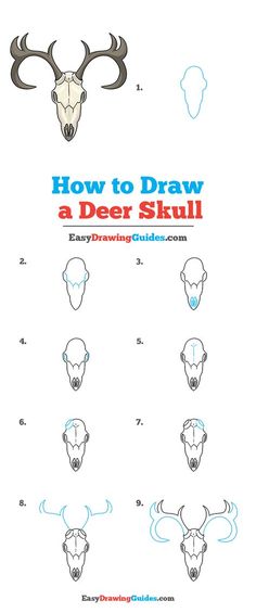 how to draw a deer skull with easy drawing guides for beginners and advanced artists