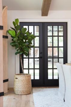 a large potted plant sitting on top of a white rug next to a black door