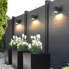 three black planters with white flowers in them next to a gray wall and fence