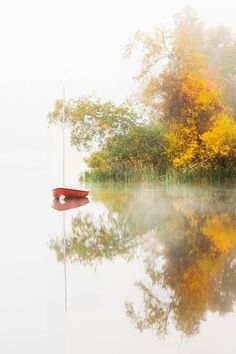 a red boat floating on top of a lake next to trees in the foggy forest