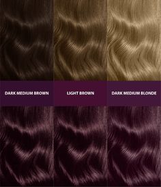 Brown Purple Hair, Violet Black Hair, Hair Dye For Dark Hair, Violet Brown Hair, Dye For Dark Hair, Dark Violet Hair, Bleach Hair Dye, Deep Purple Hair, Violet Vibes