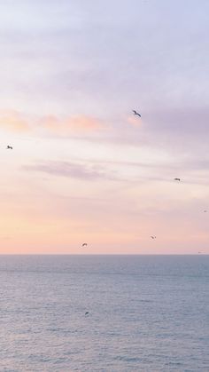 birds flying over the ocean at sunset or sunrise with pink and blue sky in background