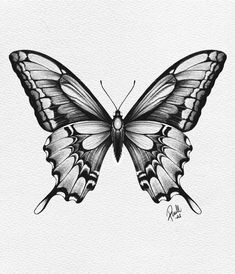 a black and white drawing of a butterfly