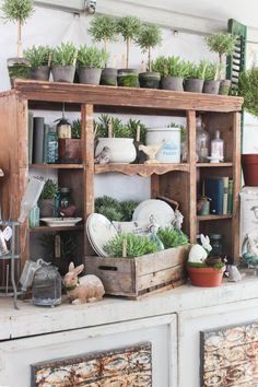 an old cabinet with plants and other items on it