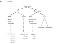 a tree diagram with the names of different types of trees