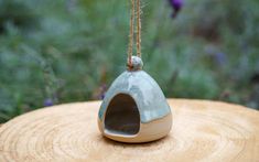 a bird house hanging from a rope on top of a piece of wood with purple flowers in the background