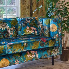 a blue couch sitting in front of a window next to a potted plant